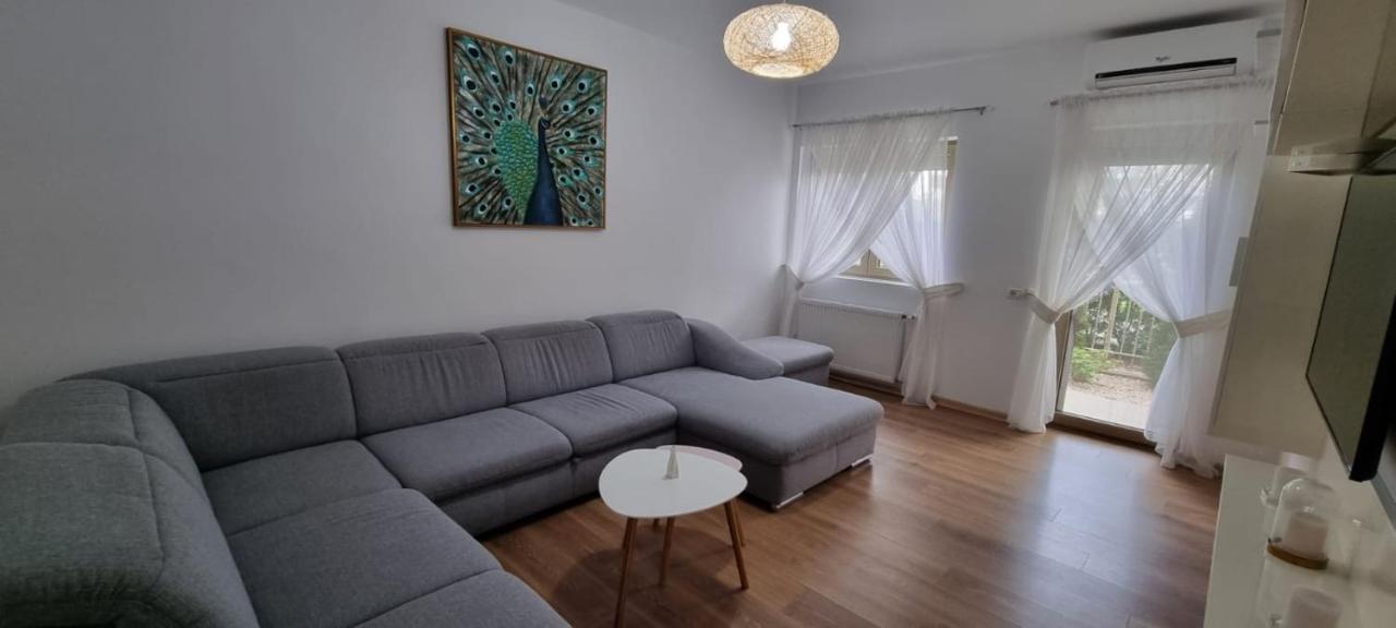 Sasu Apartment تيميشورا المظهر الخارجي الصورة