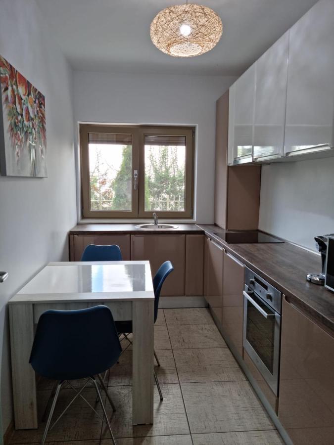 Sasu Apartment تيميشورا المظهر الخارجي الصورة