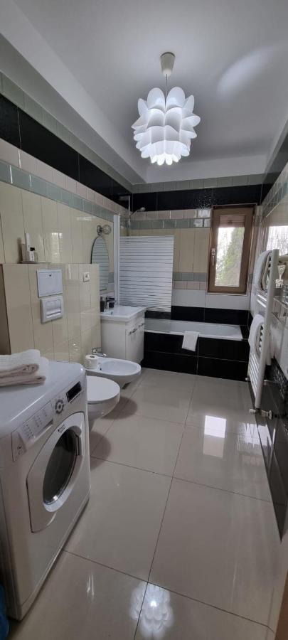 Sasu Apartment تيميشورا المظهر الخارجي الصورة