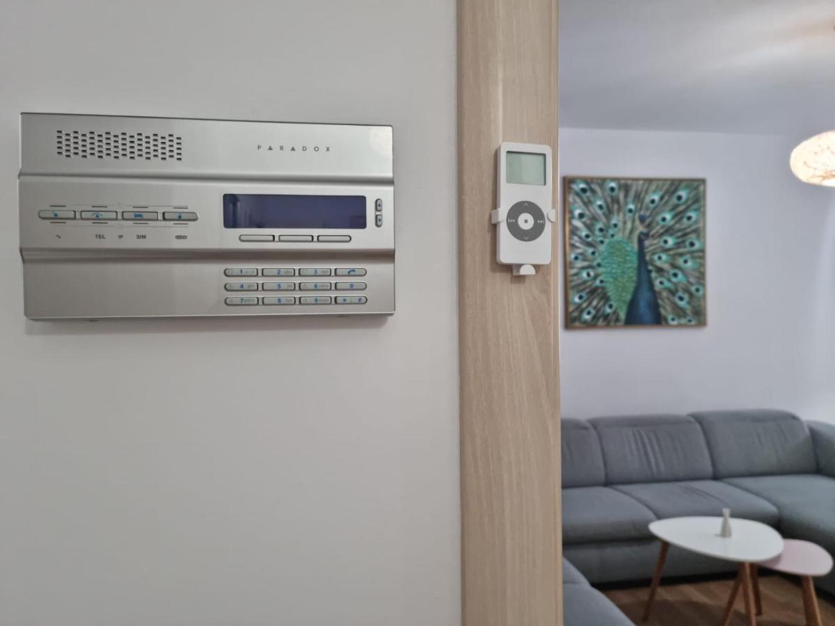 Sasu Apartment تيميشورا المظهر الخارجي الصورة