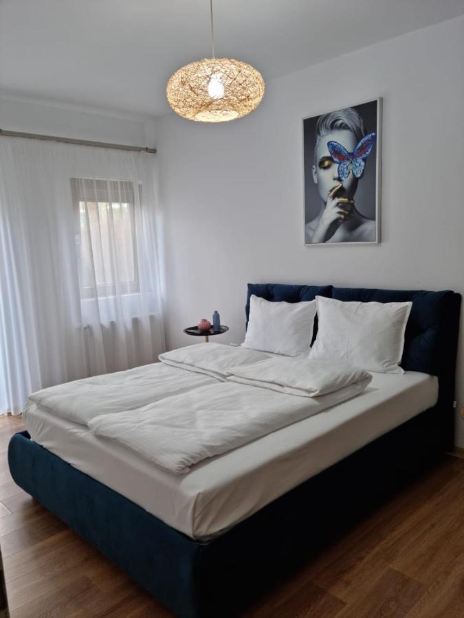 Sasu Apartment تيميشورا المظهر الخارجي الصورة
