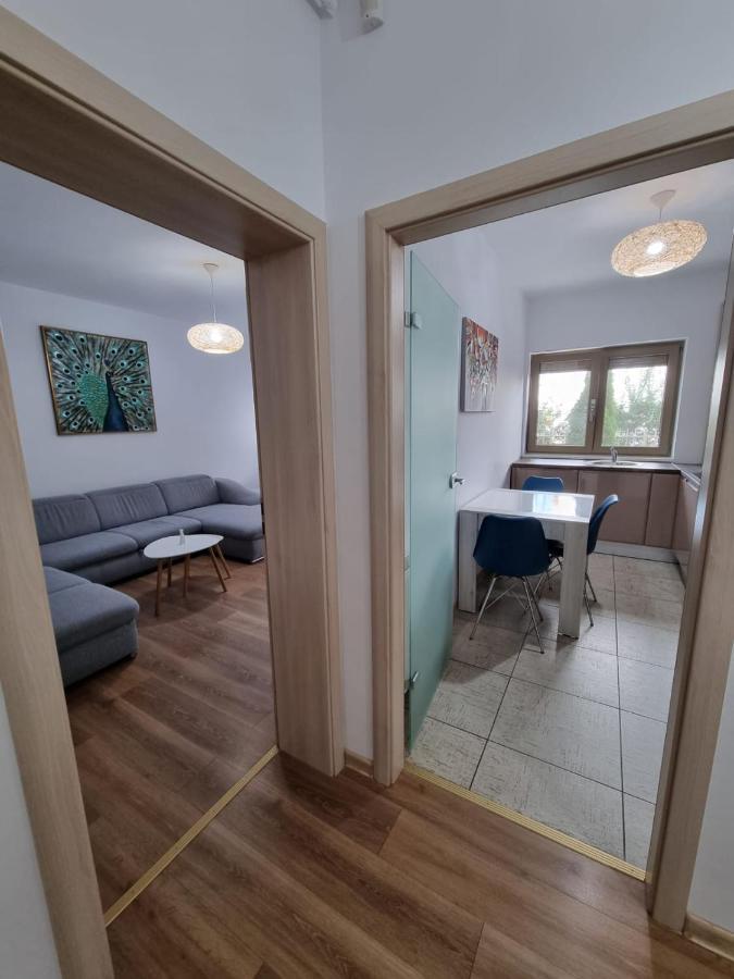 Sasu Apartment تيميشورا المظهر الخارجي الصورة