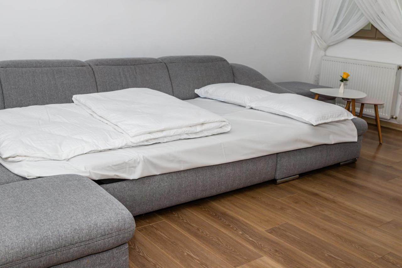 Sasu Apartment تيميشورا المظهر الخارجي الصورة